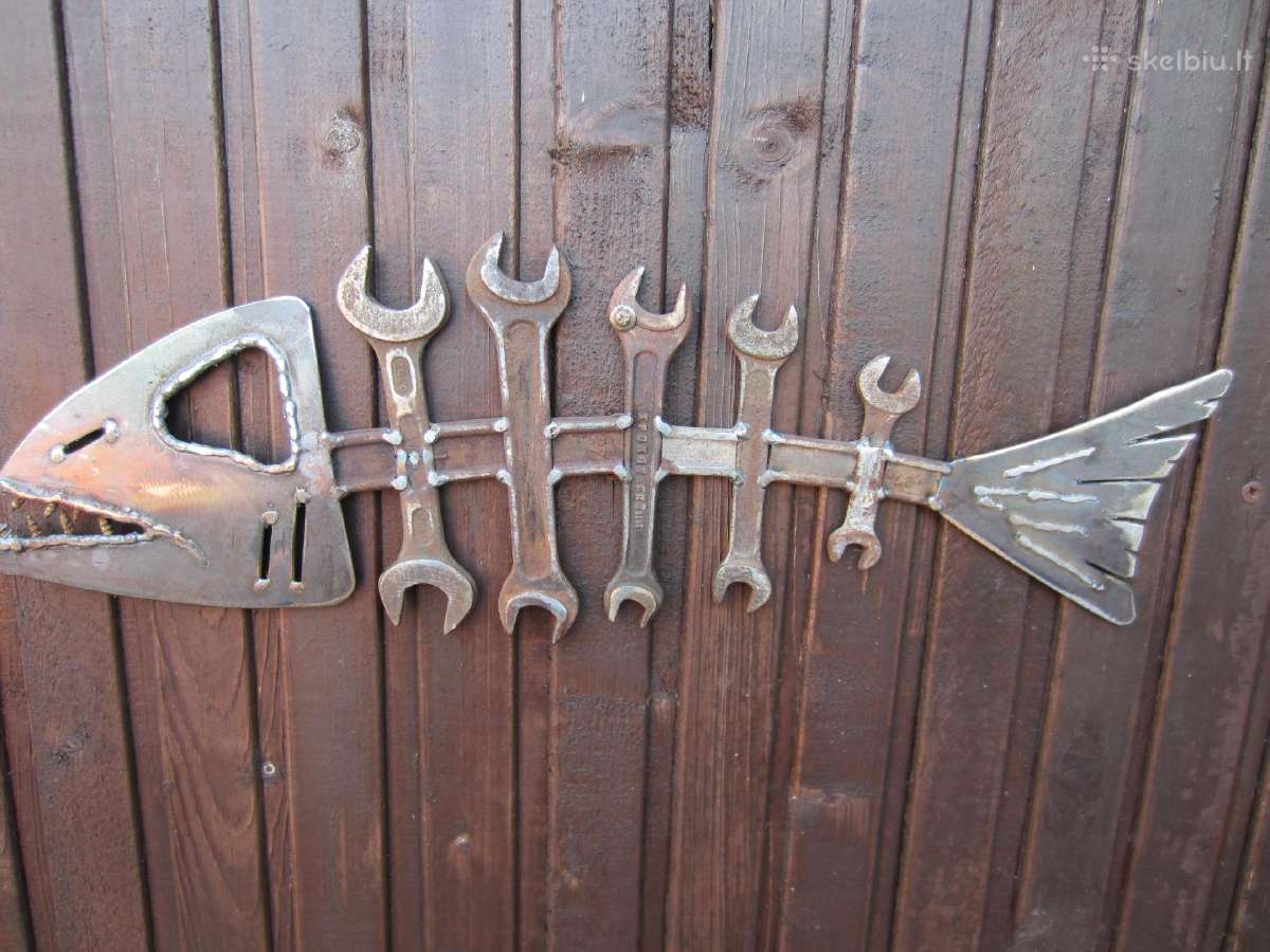 '' Zuvis ''