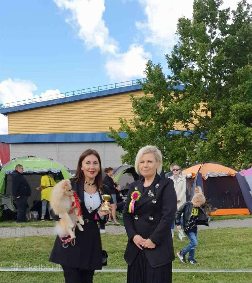 Špicai su Lkd-fci dok. - nuotraukos Nr. 10