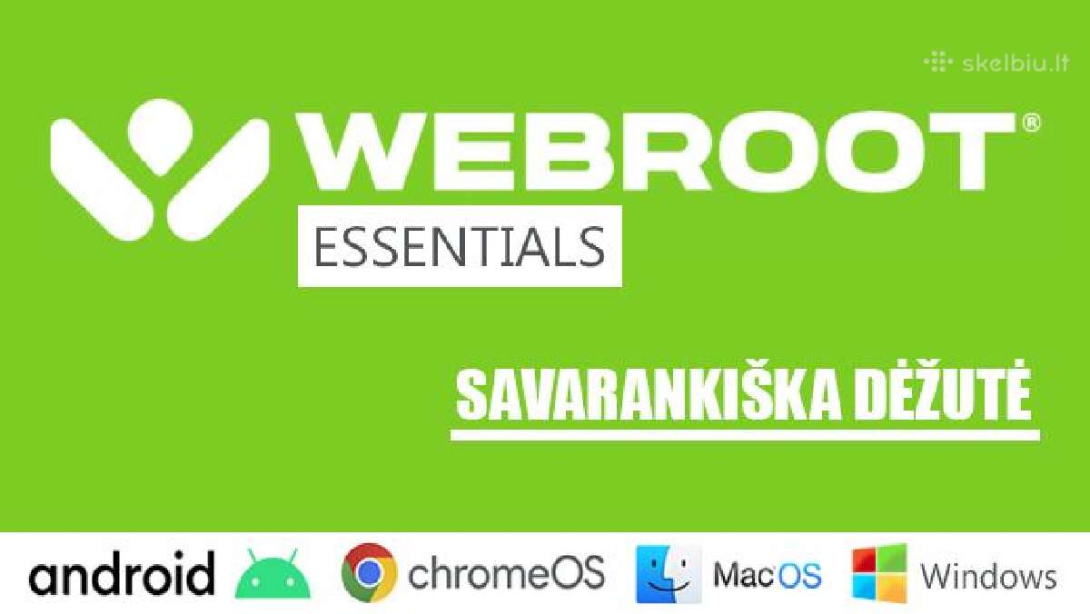 Webroot antivirusinė / 22 mėn., 1 įrenginys