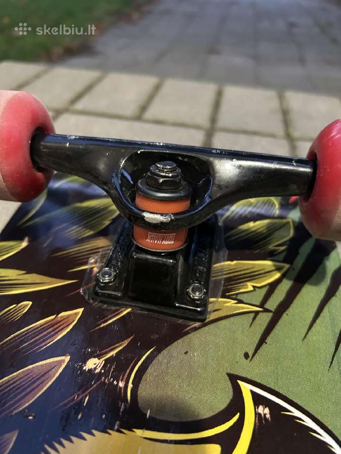 Tony Hawk riedlentė - nuotraukos Nr. 4