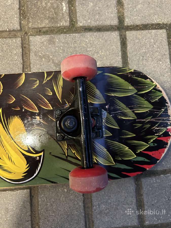 Tony Hawk riedlentė - nuotraukos Nr. 5
