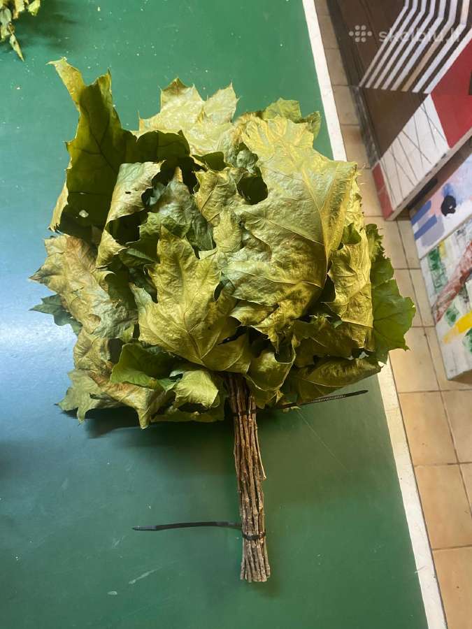 Aukštos kokybės vantos - nuotraukos Nr. 2