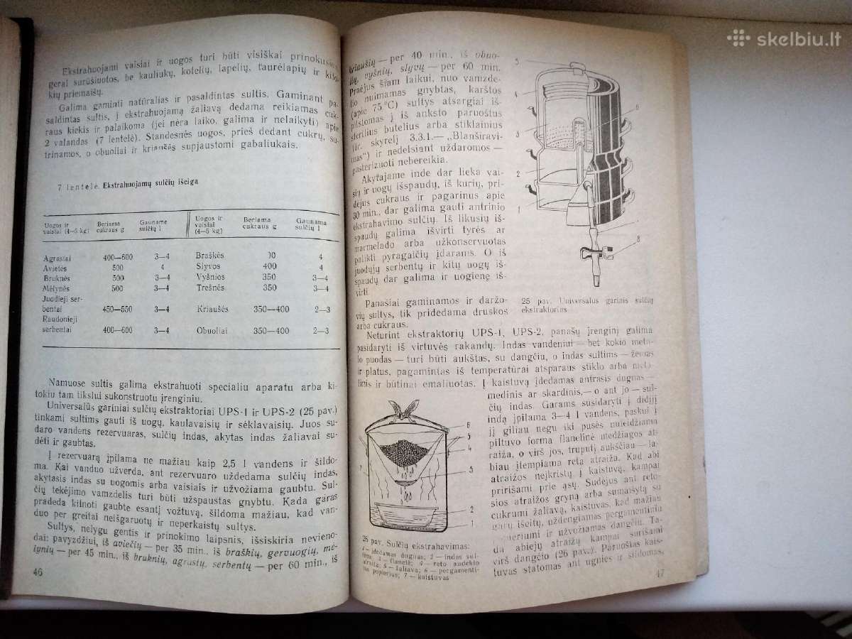 Viskas iš obuolių. Sultys - nuotraukos Nr. 20