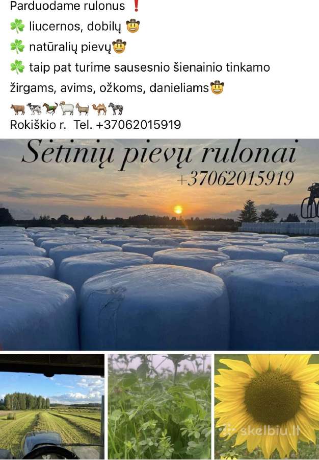 Šienainio rulonai,dobilai,liucerna