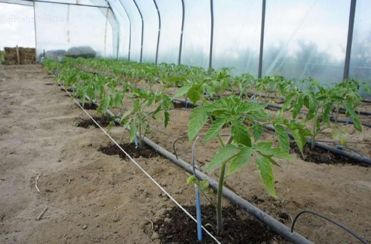 Naudota laistymo įranga šiltnamiui