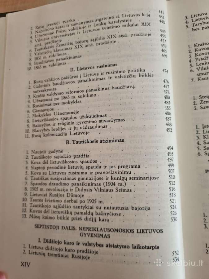 Lietuvos Istorija - nuotraukos Nr. 11