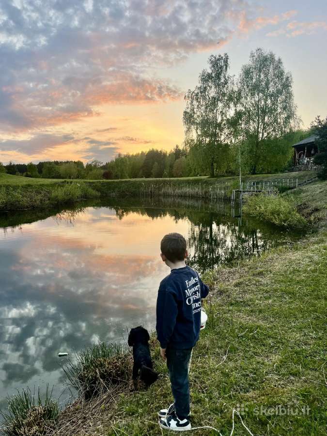 Sodyba mokymams greta Trakų Debesų slėnis - nuotraukos Nr. 5