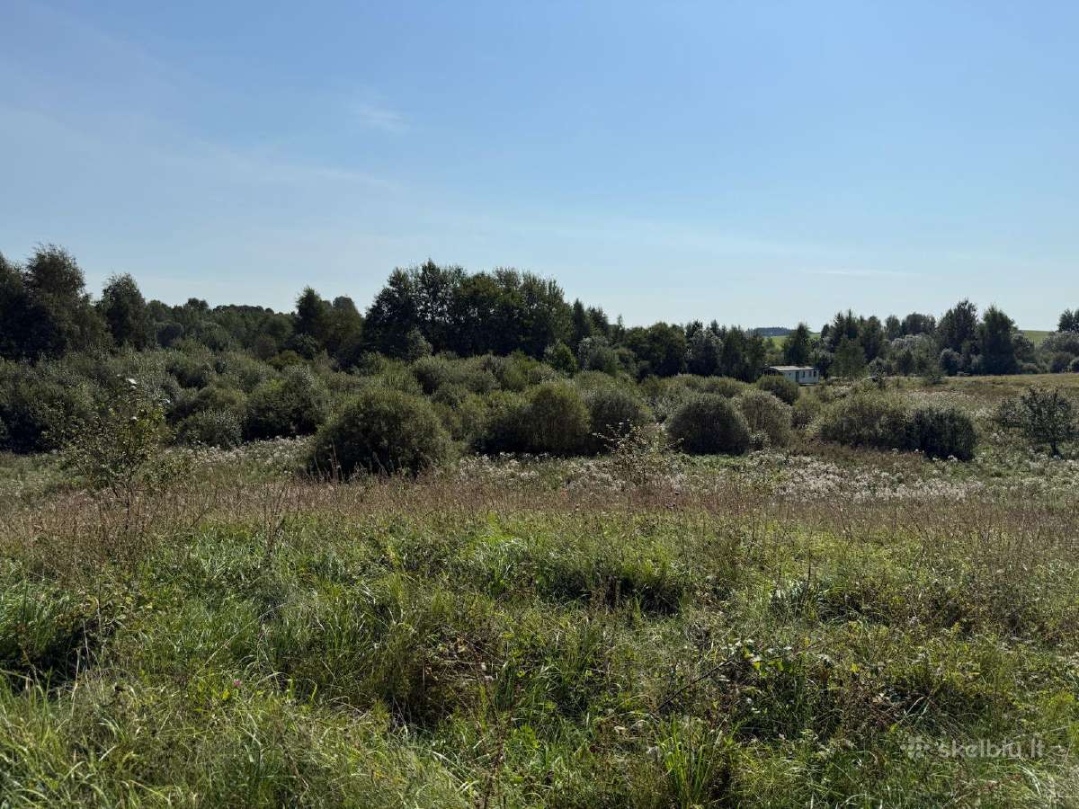 66a. sklypas tarp dviejų ežerų su mobiliuoju namu - nuotraukos Nr. 3