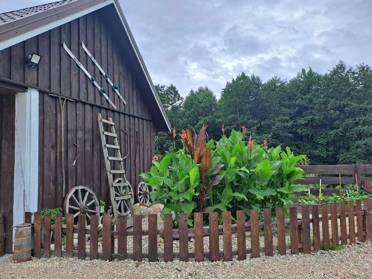 Nuomojama kaimo turizmo ,Adamonių sodyba'' - nuotraukos Nr. 4