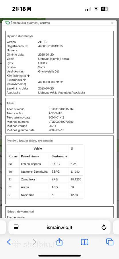 Širmaslietuvos jojamasis ponis - nuotraukos Nr. 17