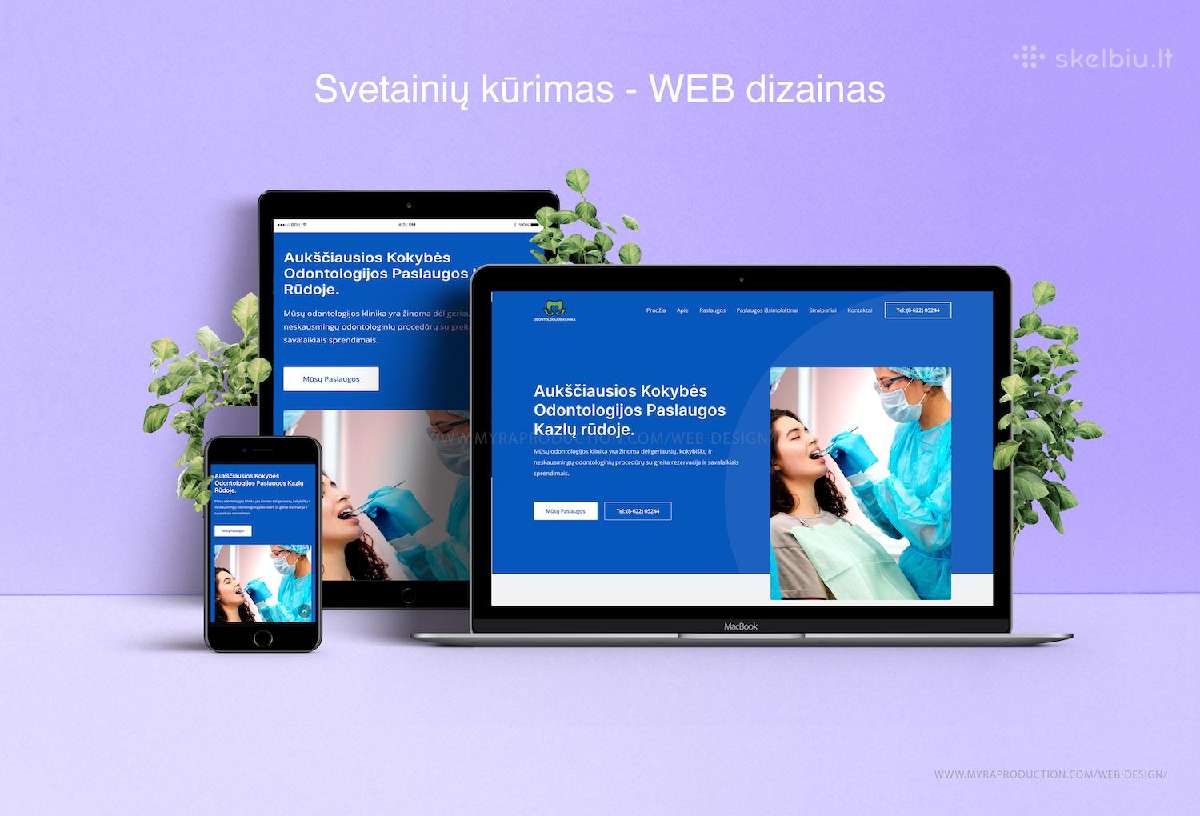 Svetainių Kūrimas, El. Parduotuvės, Programavimas - nuotraukos Nr. 3