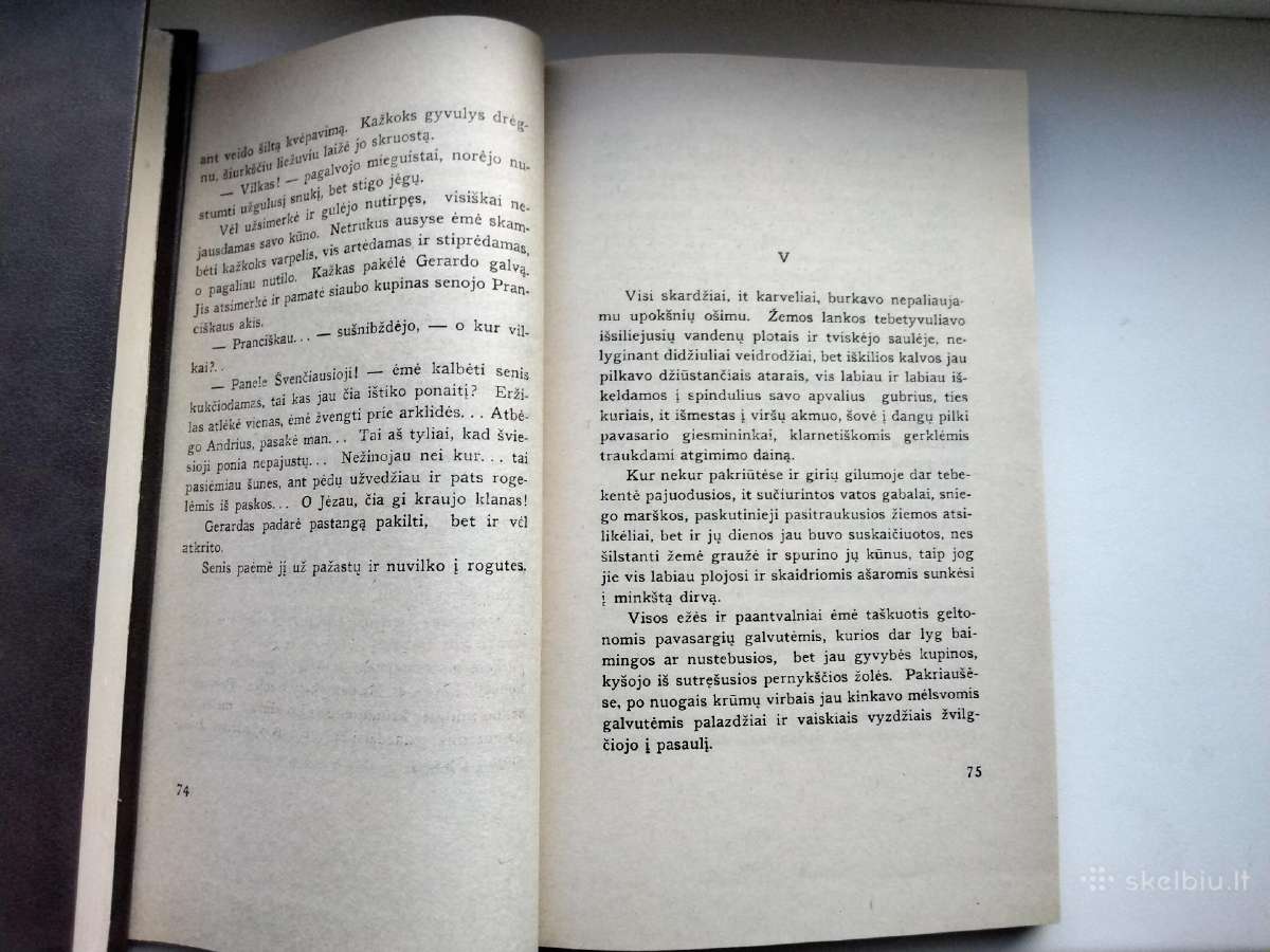 F. Neveravičius. Blaškomos liepsnos - nuotraukos Nr. 7