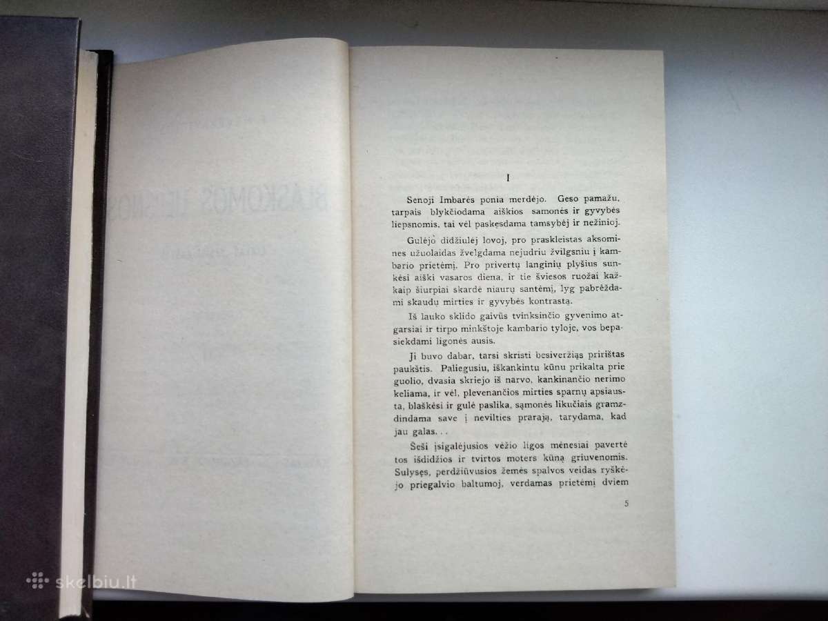 F. Neveravičius. Blaškomos liepsnos - nuotraukos Nr. 12