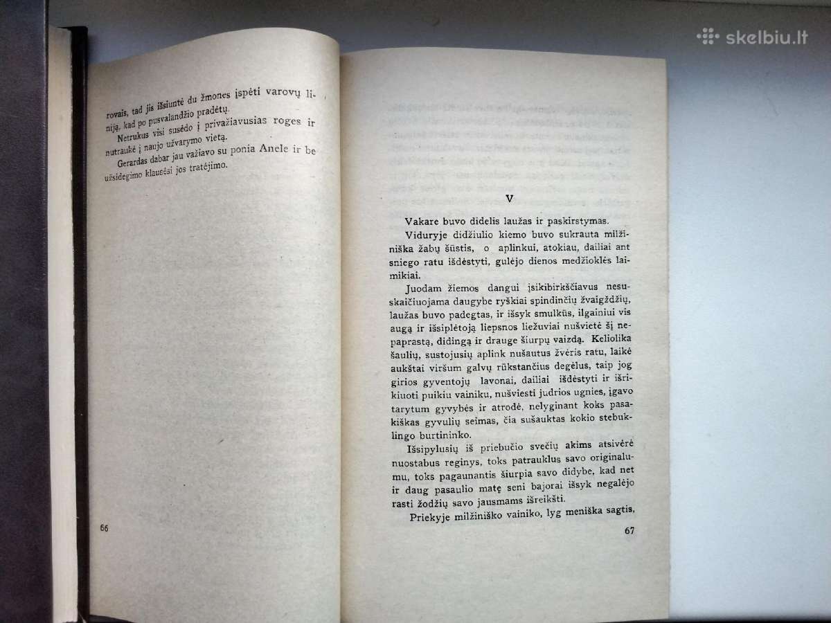 F. Neveravičius. Blaškomos liepsnos - nuotraukos Nr. 13
