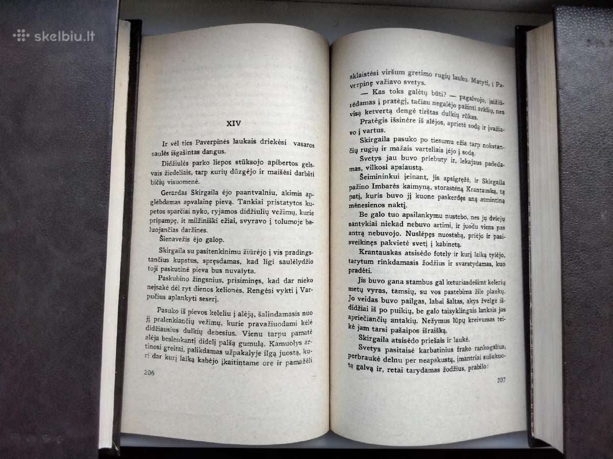 F. Neveravičius. Blaškomos liepsnos - nuotraukos Nr. 14