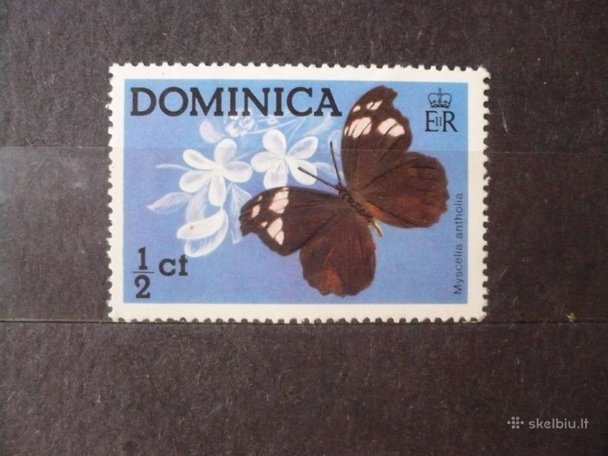 1975 m. Dominikos drugeliai Mhn