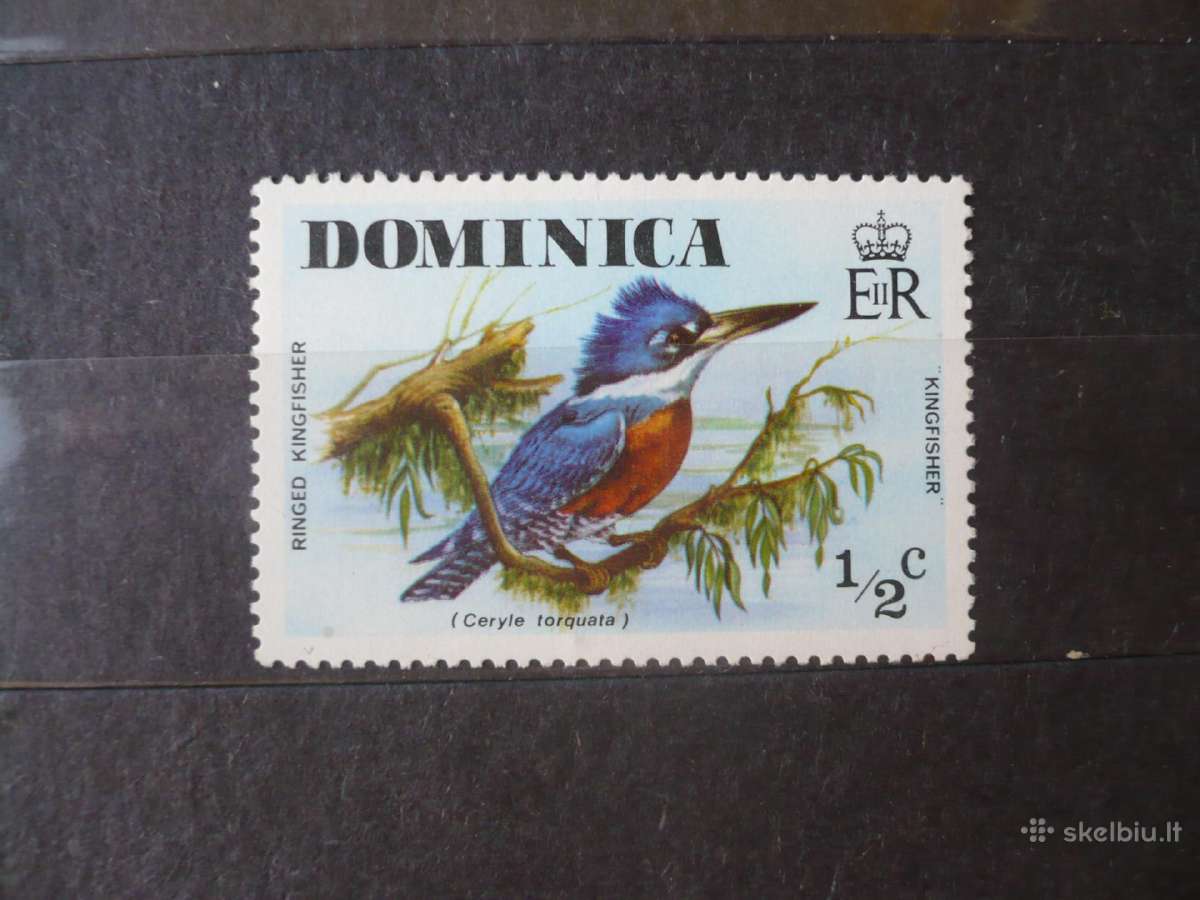 1976 m. Laukiniai paukščiai Mhn