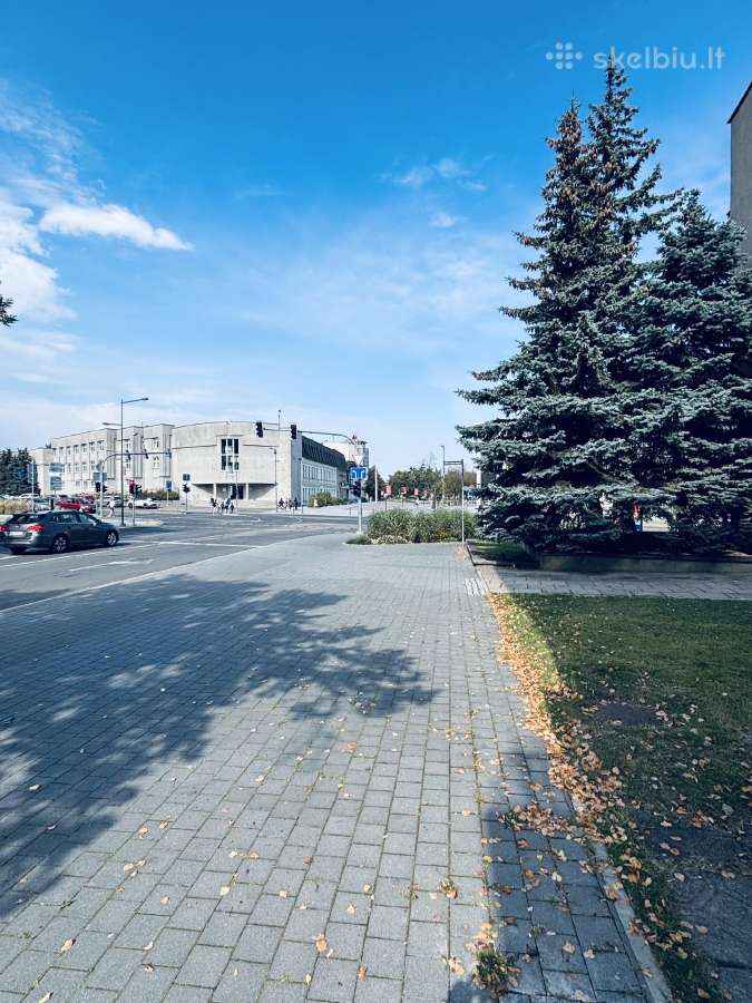 Trumpalaikė nuoma Panevėžys. Privatūs apartamentai - nuotraukos Nr. 16