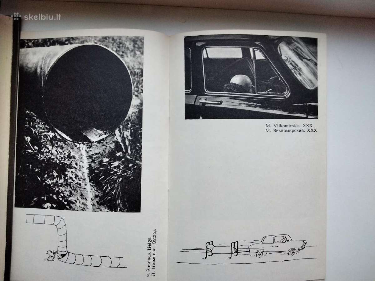 Humoristinė fotografija - nuotraukos Nr. 7