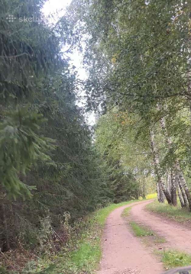Sklypas prie miško - nuotraukos Nr. 2