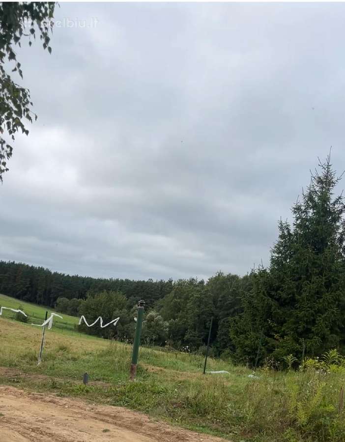 Sklypas prie miško - nuotraukos Nr. 3