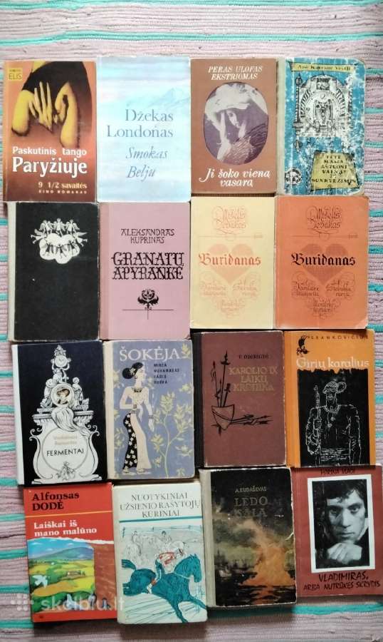 Meilės sprogimas Barbara Cartland - nuotraukos Nr. 20