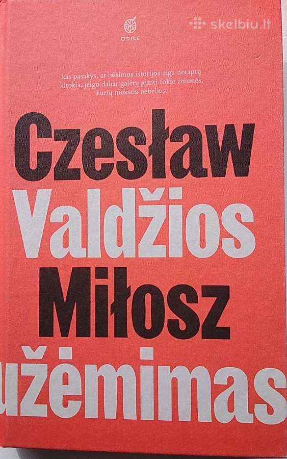 Valdžios užėmimas