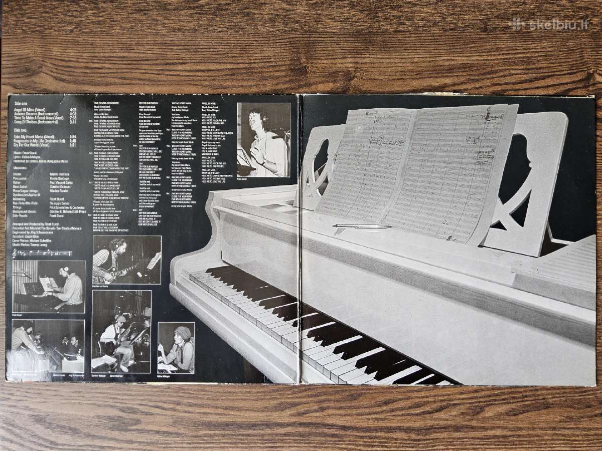 Vinilai (Lp) - Vinilinės plokštelės (Vilnius) - nuotraukos Nr. 11