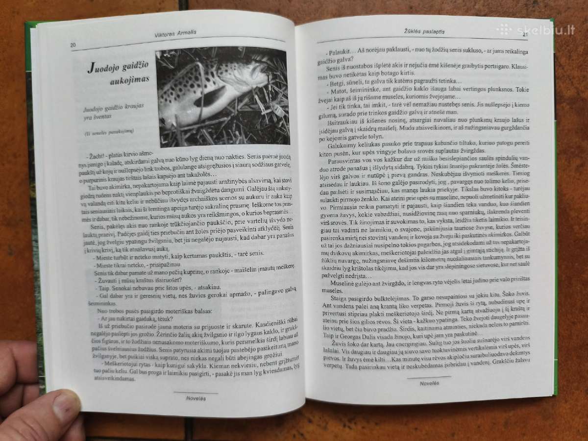 Viktoras Armalis "Žūklės paslaptis" - nuotraukos Nr. 6
