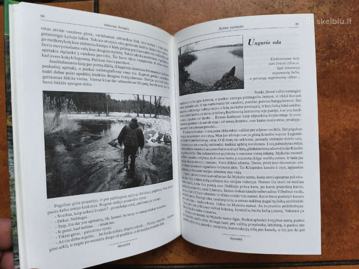 Viktoras Armalis "Žūklės paslaptis" - nuotraukos Nr. 9