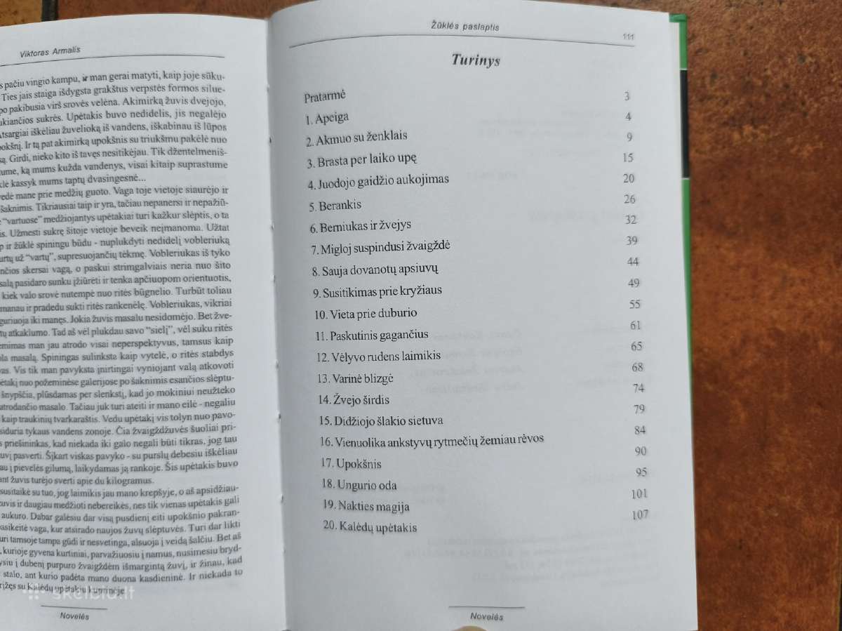 Viktoras Armalis "Žūklės paslaptis" - nuotraukos Nr. 10