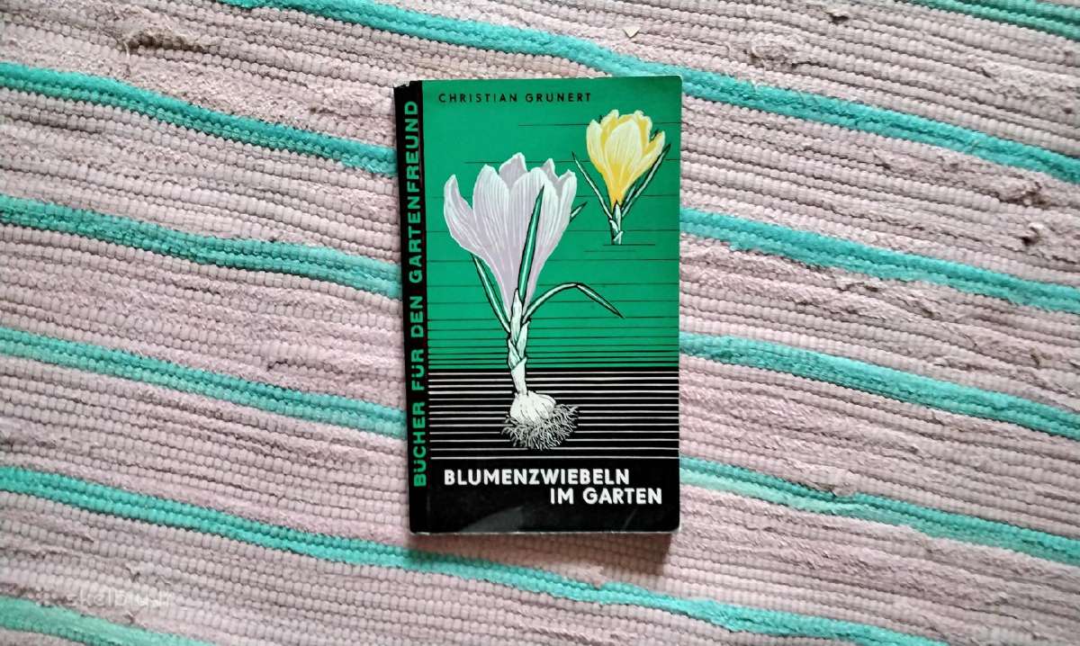 Žemėlapis Lietuva/kaliningradas - nuotraukos Nr. 16
