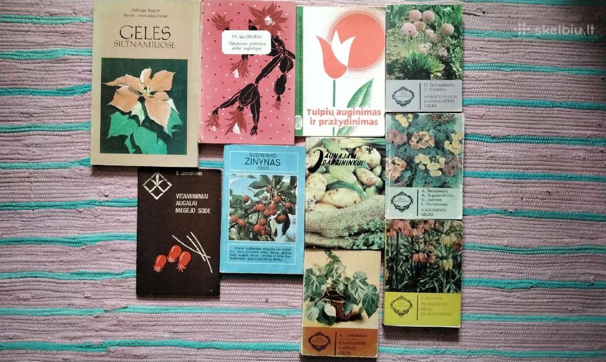 Anglų kalba įvairios knygos - nuotraukos Nr. 32