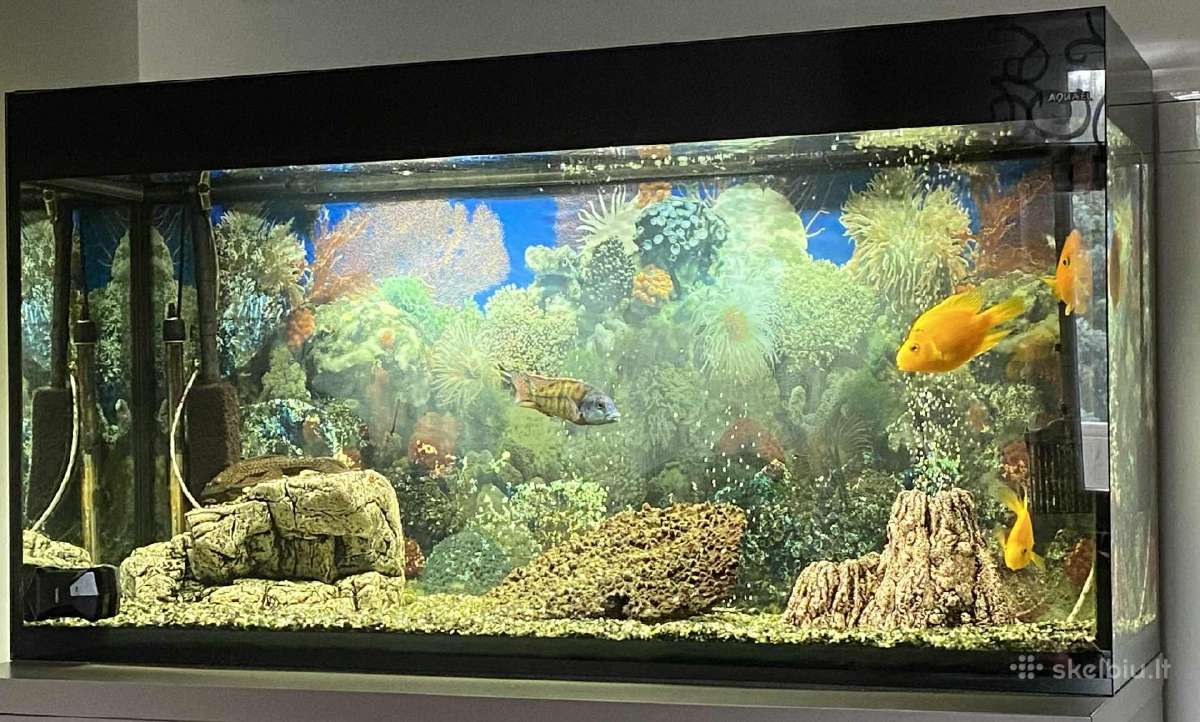 Aquael akvariumas