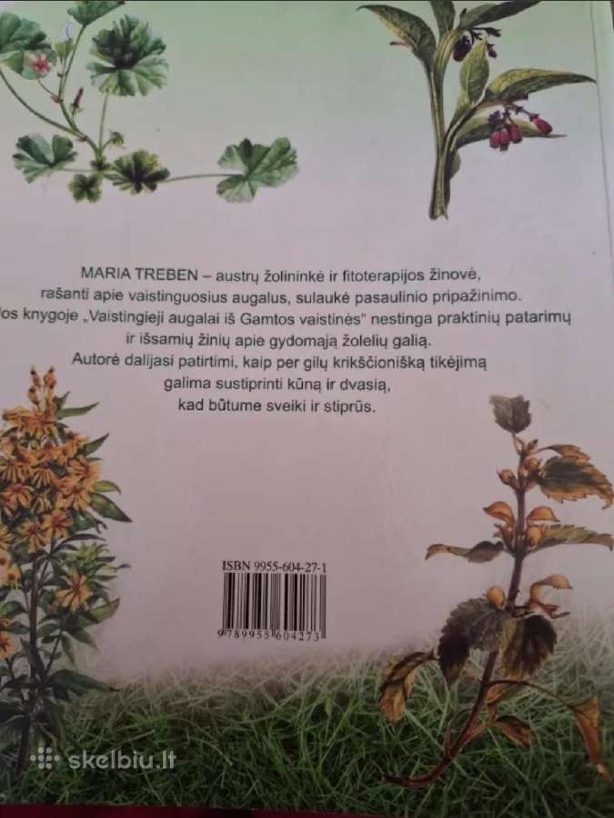 Vaistingieji augalai iš gamtos vaistinės - nuotraukos Nr. 2