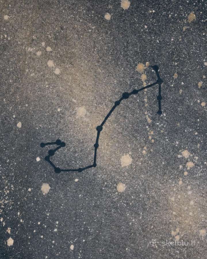 Marškinėliai dovanoms - Zodiako žvaigždynai - nuotraukos Nr. 15