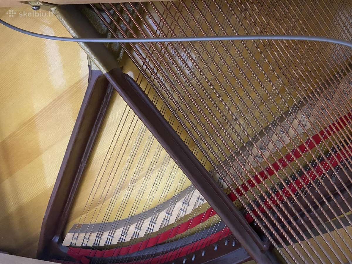 Pianinas, C .Sauter mod,108 Vokietija Renner - nuotraukos Nr. 10