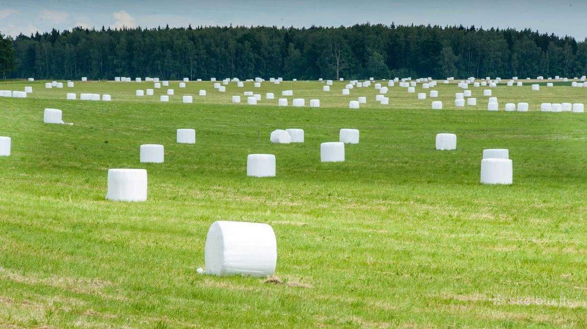 Parduodu 2025metų šienainį