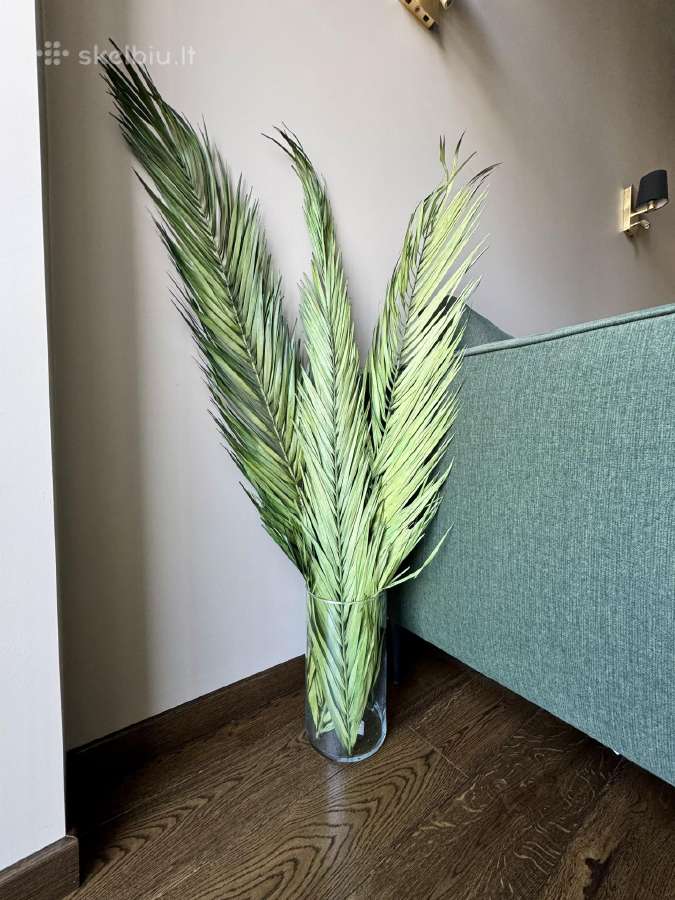 Stabilizuotos palmės šakos iš Indijos