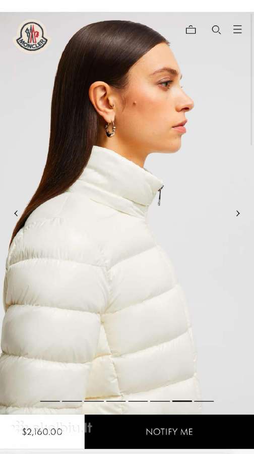 Nauja Moncler Badyf moteriška pūkinė striukė S /36 - nuotraukos Nr. 4