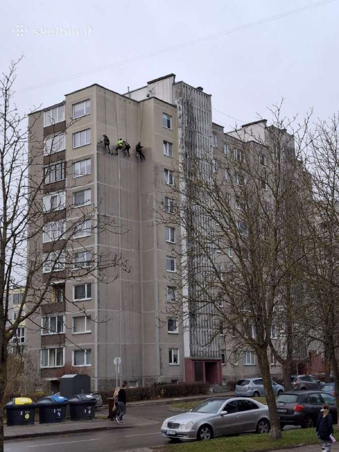 Reikalingi aukštalipiai - nuotraukos Nr. 4