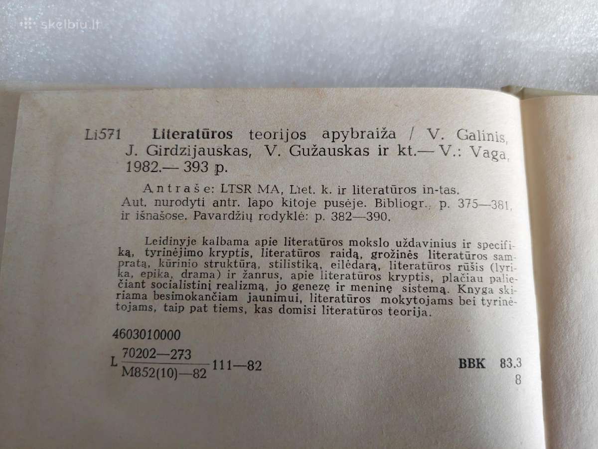 Literatūros teorijos apybraiža - nuotraukos Nr. 3