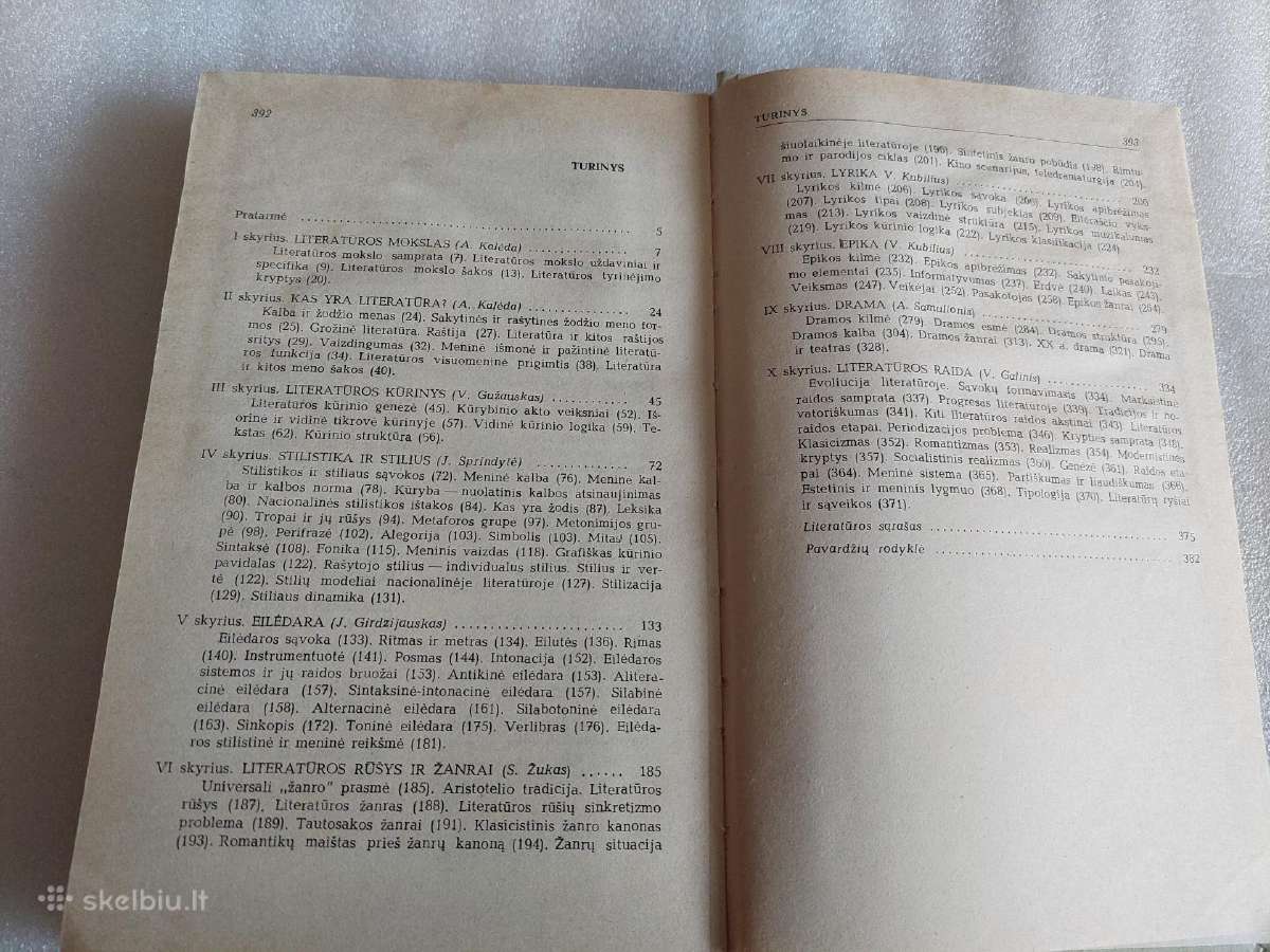 Literatūros teorijos apybraiža - nuotraukos Nr. 4