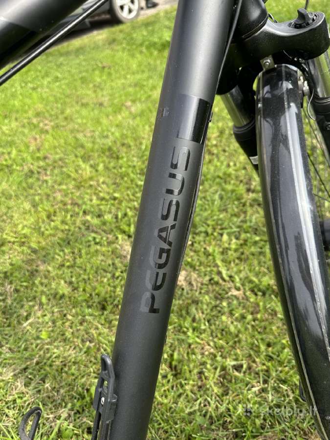 Pegasus Savona SL 24 Vyriškas Hibridinis Dviratis - nuotraukos Nr. 7