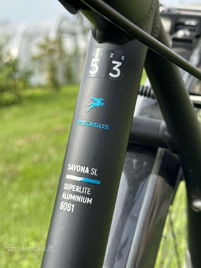 Pegasus Savona SL 24 Vyriškas Hibridinis Dviratis - nuotraukos Nr. 12