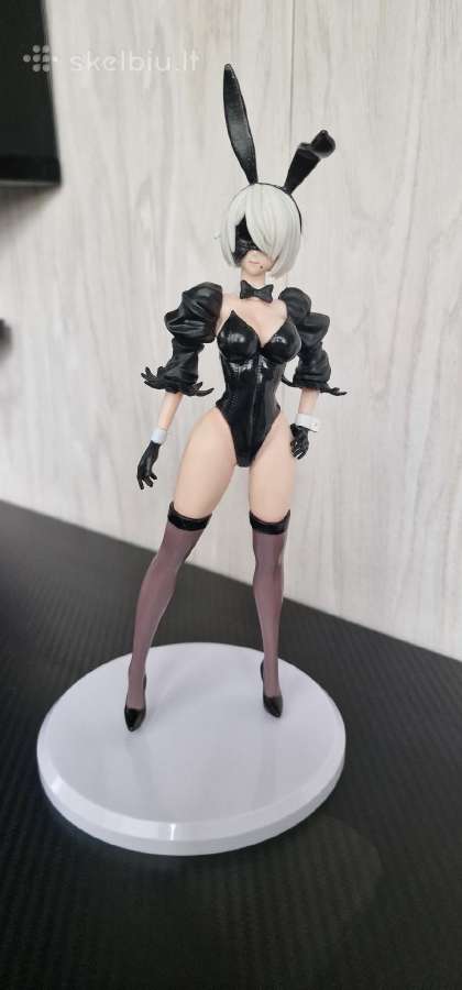 Playboy Bunny Girl