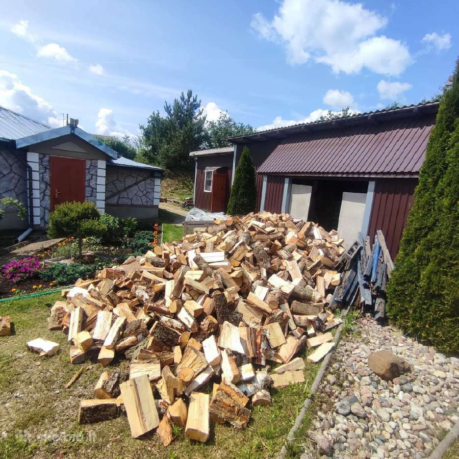 Malkos pigiau,beržas,juodalksnis,skroblas - nuotraukos Nr. 5