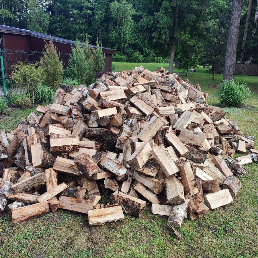 Malkos pigiau,beržas,juodalksnis,skroblas - nuotraukos Nr. 7