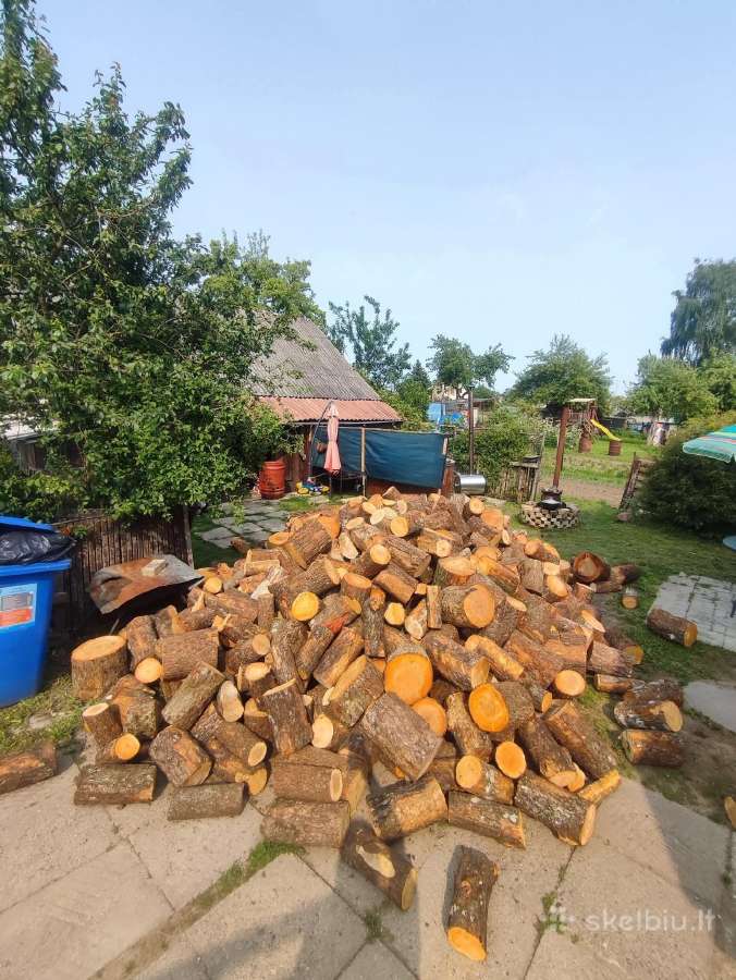 Malkos pigiau,beržas,juodalksnis,skroblas - nuotraukos Nr. 10
