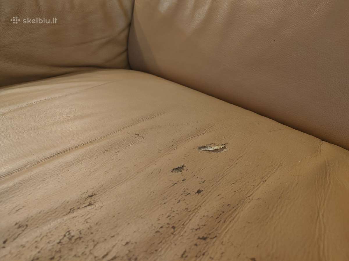 Odinė sofa - nuotraukos Nr. 4